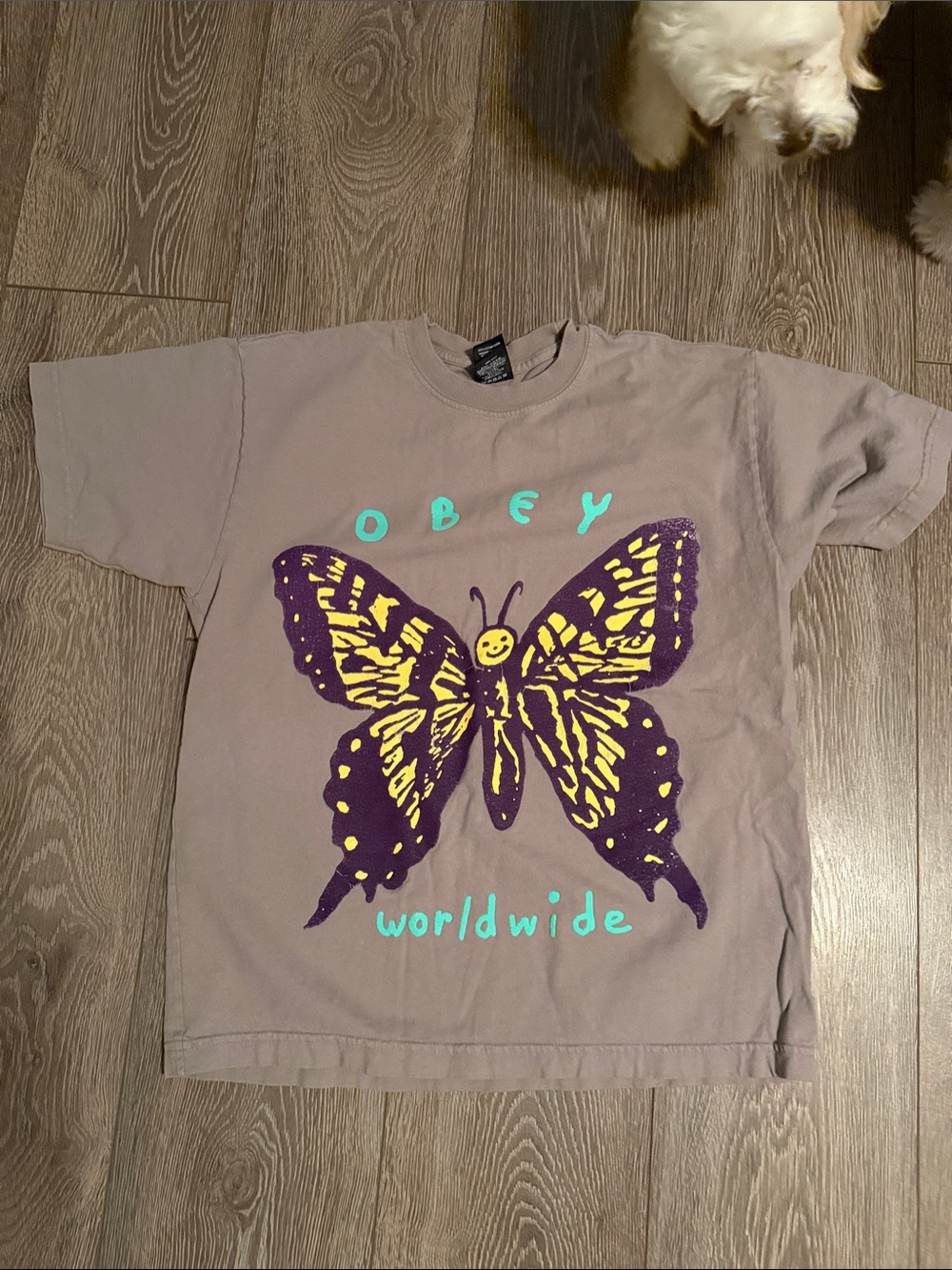 Obey Kids Taupe Short-Sleeve Tee with Yellow & Purple Butterfly